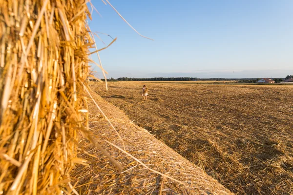 Child in wheat field. Outdoor. — Stock Photo, Image