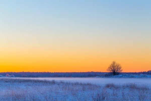 Inverno nevoso paesaggio rurale in serata — Foto Stock