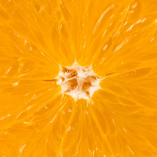 Orange marco shot — Stock Photo, Image