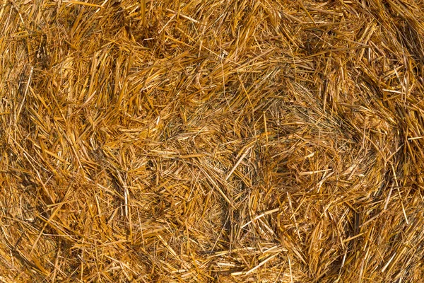 Piled hay bales on a field against blue sky — Stock Photo, Image