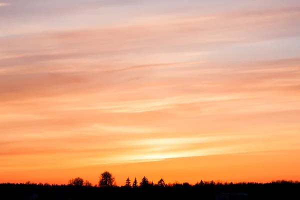 Paysage hivernal. Composition de la nature — Photo