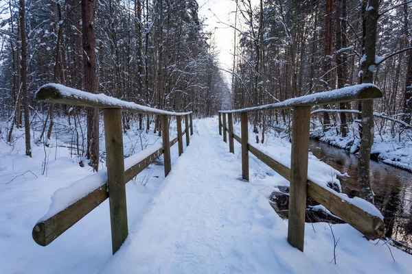 Träbro i snö närbild — Stockfoto