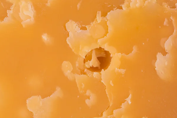 Background of old cheese — Stock Photo, Image