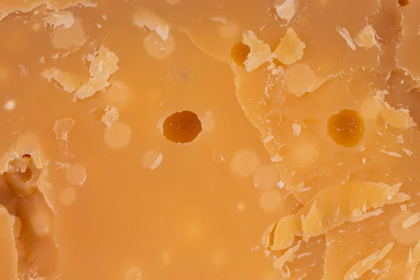 Background of old cheese — Stock Photo, Image