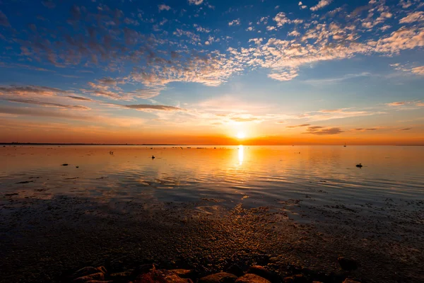 Segeln entlang der Skyline — Stockfoto