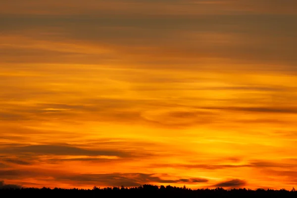 Coucher de soleil sur la forêt — Photo