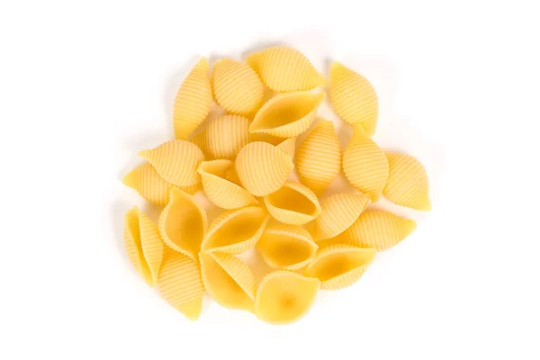 Conchiglie cáscara de pasta — Foto de Stock