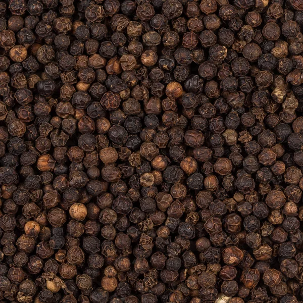 Black pepper zoomed in on — Stock Photo, Image