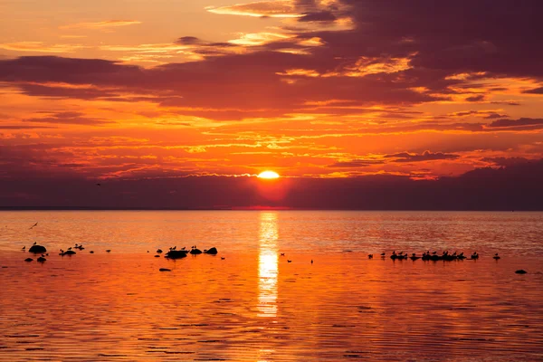 Sunset in sea — Stock Photo, Image