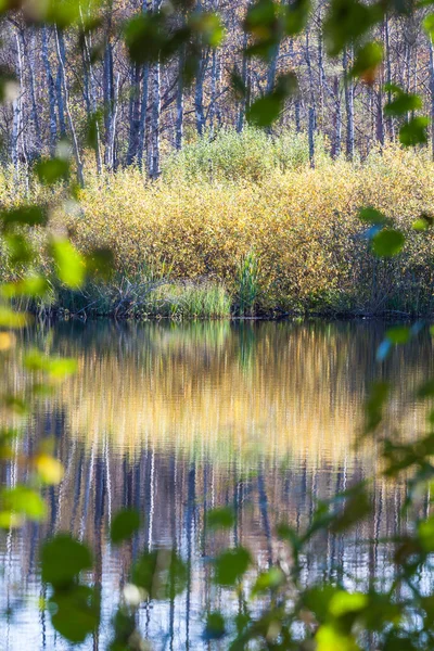 Reflexión estanque otoño — Foto de Stock