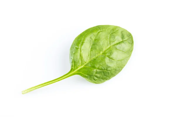 Espinacas verdes sobre fondo blanco — Foto de Stock