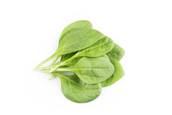 Green spinach on a white background — Stock Photo, Image