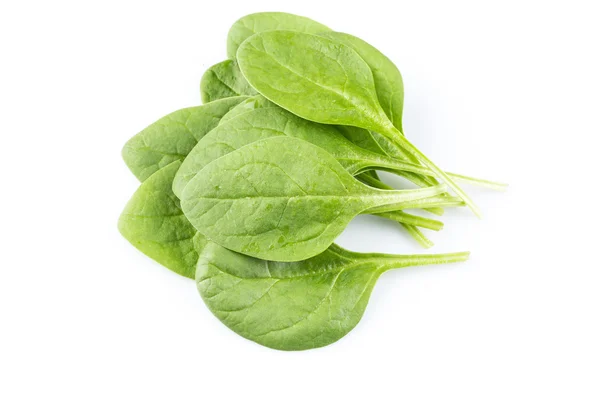 Green spinach on a white background — Stock Photo, Image