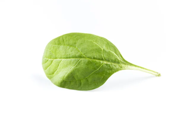 Espinacas verdes sobre fondo blanco — Foto de Stock