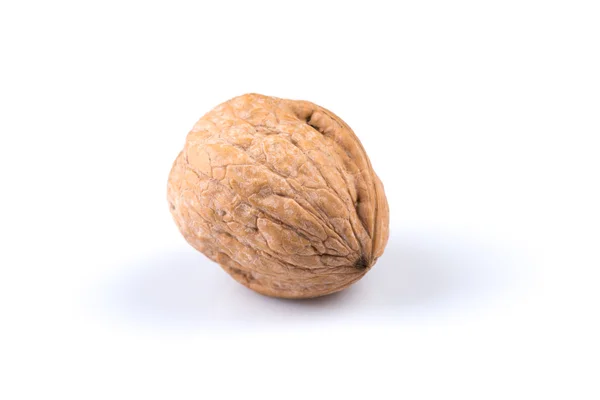 Dried walnut — Stock Photo, Image