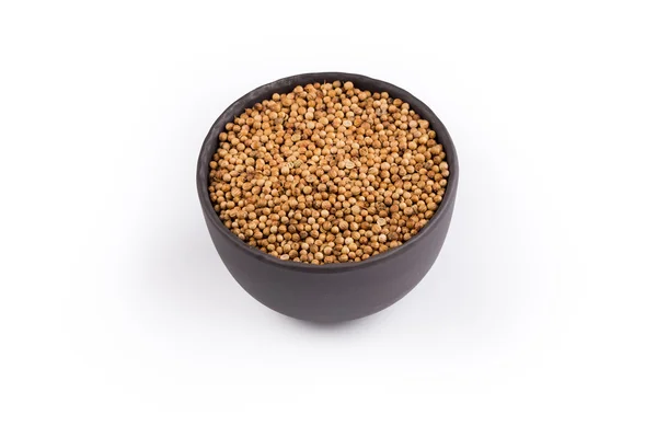 Close up van gedroogde koriander zaden — Stockfoto