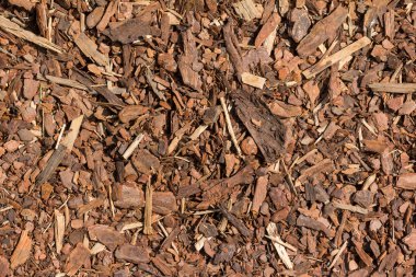 Mulch wood bark material  clipart