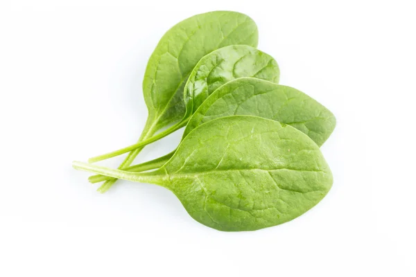 Green spinach on a white background — Stock Photo, Image