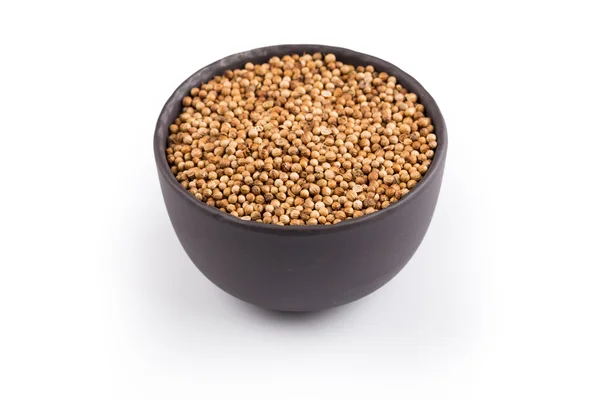 Закрыть сушеные семена кориандра — стоковое фото