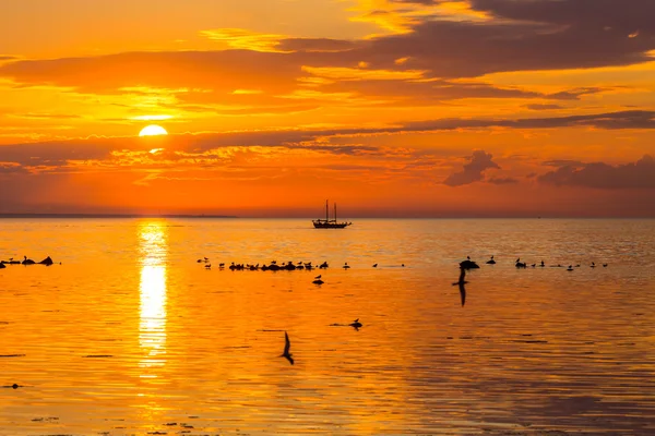 Navio alto navegando ao longo do horizonte — Fotografia de Stock