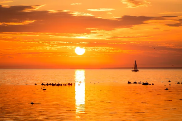 Sailing ship yachts  in the sea near coastline of Tallinn — Stock Photo, Image