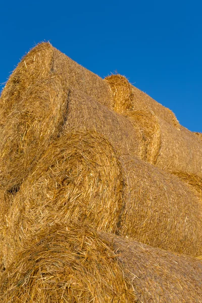 Piled hay bales on a field against blue sky — Stock Photo, Image