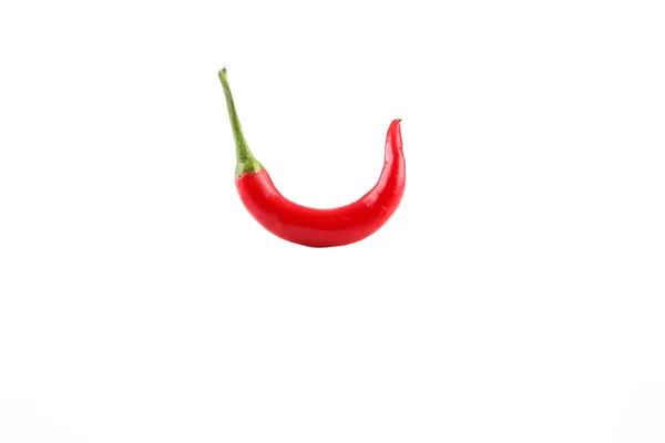 Chili pepper — Stock fotografie