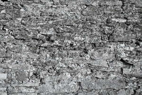 老石墙壁纹理与苔藓 — 图库照片