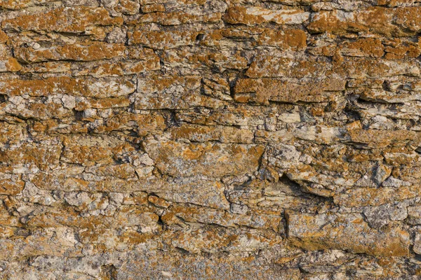 Textura antigua pared de piedra con musgo —  Fotos de Stock