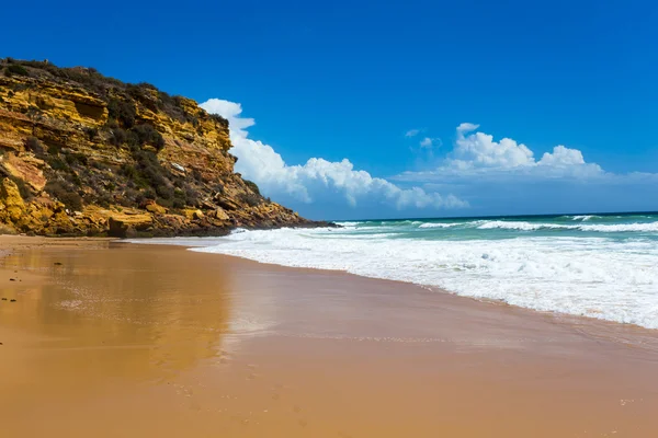 Ola de playa tropical estilo retro — Foto de Stock
