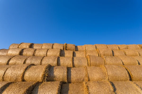 Balle di fieno impilate su un campo contro cielo azzurro — Foto Stock