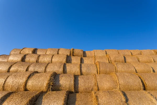 Piled hay bales on a field against blue sky — Stock Photo, Image