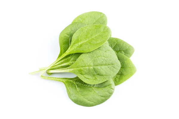 Green spinach on a white background — Stock Photo, Image