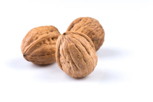 Dried walnut — Stock Photo, Image