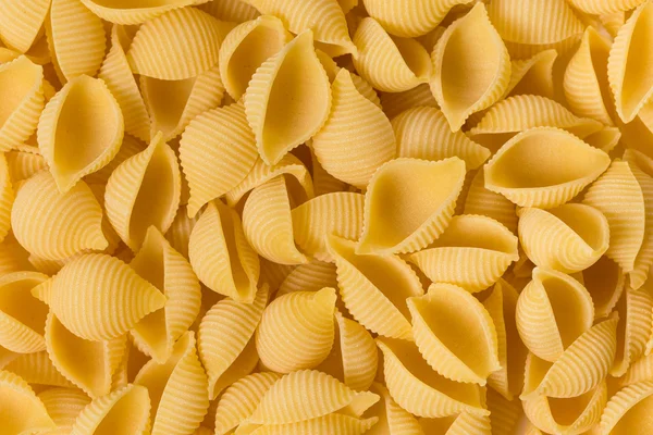 Conchiglie pasta — стоковое фото