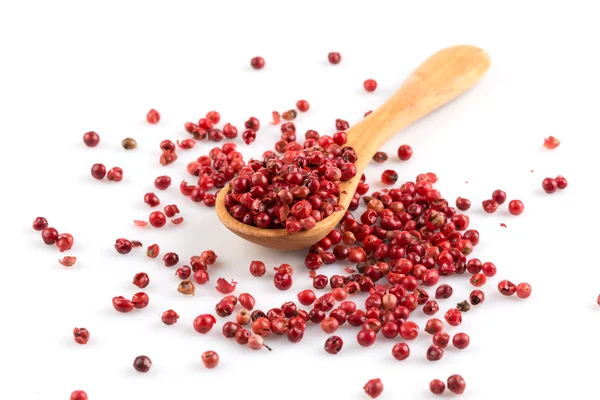 Red peppercorns in wooden spoon isolated — Stock Photo, Image