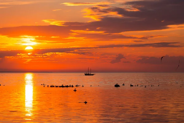 Navio alto navegando ao longo do horizonte — Fotografia de Stock