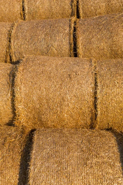 Piled hay bales on a field against blue sky — Stock Photo, Image