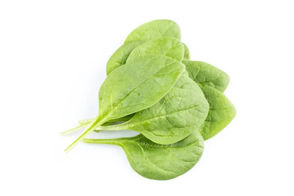 Green spinach on a white background — Stock Photo, Image