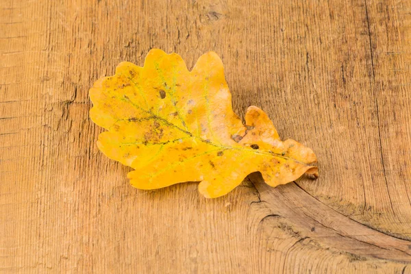 Hojas otoñales sobre fondo de madera — Foto de Stock