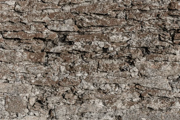 Старовинна кам'яна текстура стін з мохом — стокове фото
