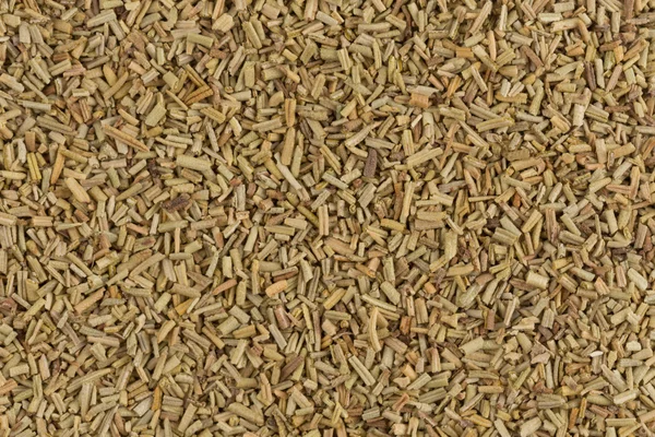 Dried Rosemary — Stock Photo, Image