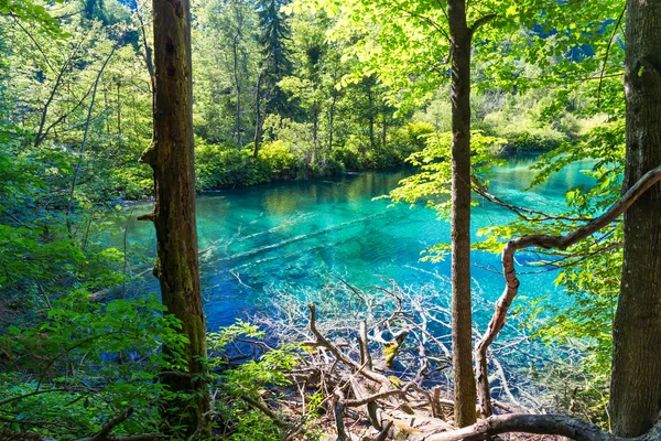 Національний парк озер Плітвіце — стокове фото