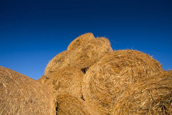 Piled hay bales on a field against blue sky — Stock Photo, Image