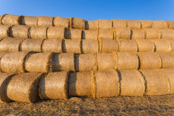 Piled hay bales on a field against blue sky — Stock Photo, Image