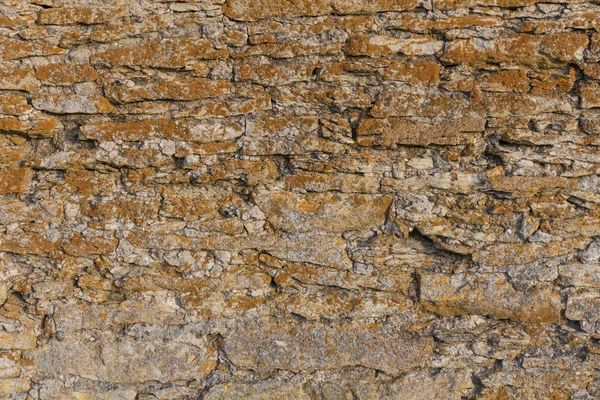 Textura de parede de pedra velha com musgo — Fotografia de Stock