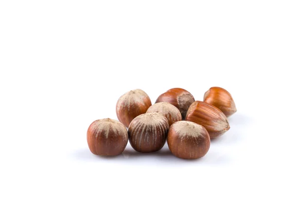 Hazelnuts on white — Stock Photo, Image