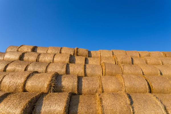 Сваленные тюки сена на поле против голубого неба — стоковое фото