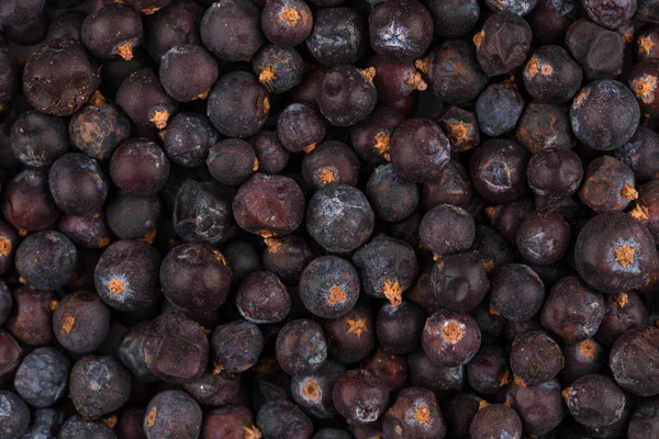 Kurutulmuş Siyah frenk üzümü — Stok fotoğraf