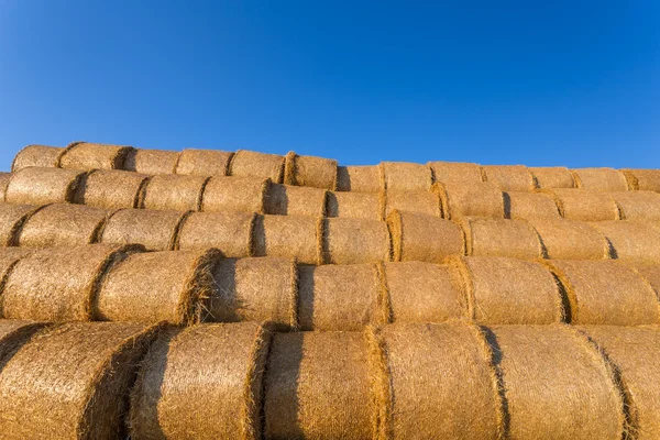 Piled hay bales on a field against blue sky — Stock Photo, Image